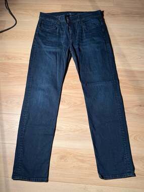7 for all mankind slimmy